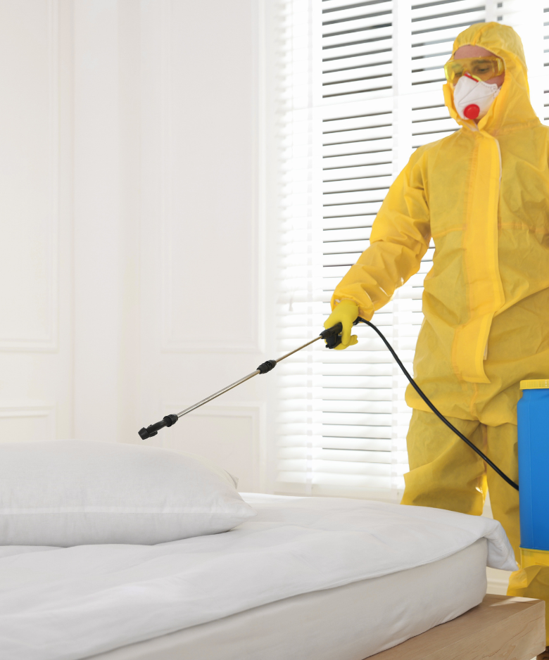 Professional Pest Control Team in Marion